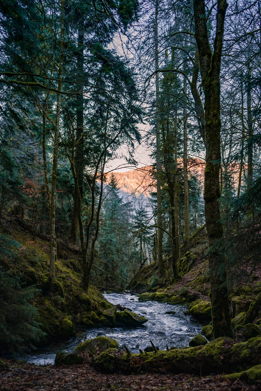 Ruisseau Crépusculaire